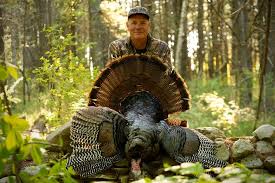 As New York turkey season comes to a wrap today I was sadly not able to  harvest a bird this season but was able to be part of a handful of of