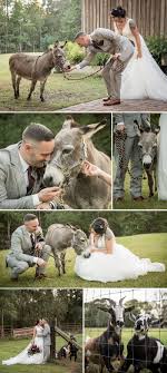 Morgens im grünen aufwachen, mittags im schatten der eigenen bäume das essen genießen und abends unter dem sternenhimmel eine grillparty veranstalten. Bauernhof Hochzeit Tolle Ideen Furs Heiraten Auf Dem Bauernhof