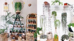 Jual tanaman hias bekasi terlengkap , online, aman & nyaman sangat cocok dijadikan sebagai tanaman hias di halaman rumah atau di teras rumah dengan menanamnya di keranjang/pot dan diletakkan menggantung kami bantu anda mendapatkan berbagai jenis tanaman hias berkualitas dengan harga ekonomis. 4 Tips Utama Ini Harus Diperhatikan Sebelum Bisnis Jualan Tanaman Online Dijamin Ramai
