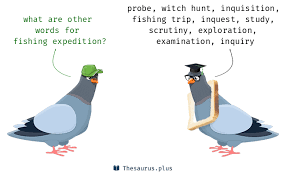 | meaning, pronunciation, translations and examples. Terms Fishing Expedition And Witch Hunt Are Semantically Related Or Have Similar Meaning