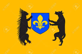 The border is embellished with an intricate gold edging. Flag Of Blois Is A City And The Capital Of Loir Et Cher Department Stock Photo Picture And Royalty Free Image Image 82666858