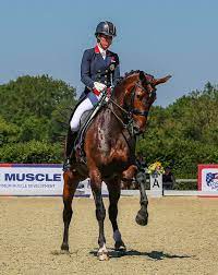 With rider lamaze, he was an olympic gold and silver medalist in show jumping. A Treat For Dressage Fans On Horse Country Tv Hickstead Rotterdam Gp Dressage Challenge