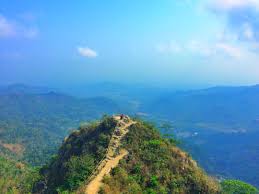 Maybe you would like to learn more about one of these? Pemandangan Hijau Yang Tak Terbatas Di Kebun Teh Nglinggo Yogyakarta