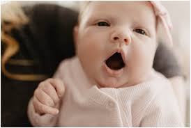 Baby Bartling: Minneapolis Newborn Session