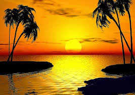 Find sunset beautiful dolphin wallpaper image, wallpaper and background. 36 Wallpaper Dolphin Sunset On Wallpapersafari