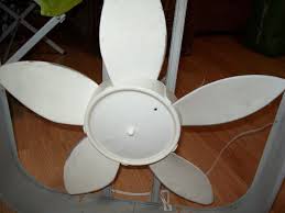 Maybe you would like to learn more about one of these? How To Clean Your Box Fan Dengarden