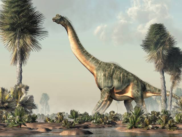 82-Foot Long Dinosaur Found in Portugal Backyard – Sword & Shield