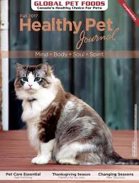 In love with this pet store !! Global Pet Foods Healthy Pet Journal Fall 2017 Issue By Global Pet Foods Issuu