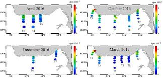 Semi s10 safety guideline for risk assessment. Frontiers Nutrient Fluxes Associated With Submarine Groundwater Discharge From Karstic Coastal Aquifers Cote Bleue French Mediterranean Coastline Environmental Science