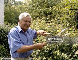 447 Adam Ulrich Stock Photos, High-Res Pictures, and Images