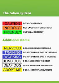 No Dogs Orange Color Coded 6 Foot Padded Dog Leash Not Good With Other Dogs Prevents Accidents By Warning Others Of Your Do Blind Dog Dog Leash Dog Accidents