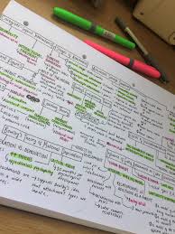 Attachment Mind Map A Level Psychology Aqa Psychology Notes Psychology Studies Ap Psychology