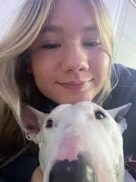 Fundraiser for Starved Dog's Medical Treatment