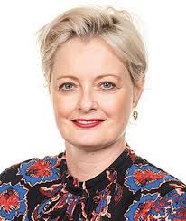 Mental health and the law: Coping strategies