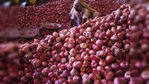 Onion,नए साल में एक लाख टन प्याज का बफर स्टॉक बनाएगी सरकार - modi  government to raise onion buffer stock next year - Navbharat Times