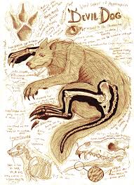 Pin On Cryptozoology