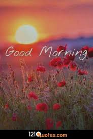 Maybe you would like to learn more about one of these? 200 Beautiful Good Morning Images Latest Update