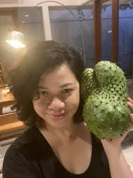 My home grown soursops Too love soursop drink🇧🇧💯