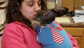 Giant Rabbits Help Kids Feel Less Alone In The World