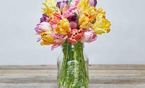 To survive, flowers need three things: What Are Flower Preservatives Bouqs Blog