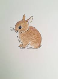 Le lapin convient aux enfants car c'est un animal très affectueux, pouvant vivre en liberté. Lapin Drawing By Celestino Alertse Artmajeur