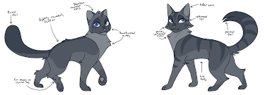 Some Cinderpelt and Cinderheart designs I drew up recently : r/WarriorCats