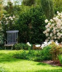 Ask us about our free estimates. Lawn Care Services Lawnman