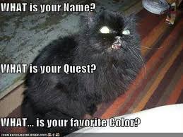 Pin By Maria Lucas On Monty Python Monty Python What Is Your Name Favorite Color