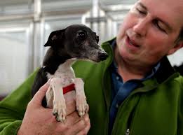 Activists, officials take