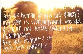 Are We Human Or Are We Dancers The Killers Are We Human Or Are We Dancers My Sign Is Vital My Hands Are Cold Human By The Killers Music Lyrics Rock And Roll Dance Music Love