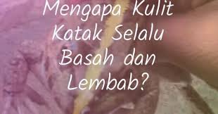 Seorang ulama' yg masyhur dan mempunyai petuah' bijak yg bisa di terima oleh semua kalangan bukan hanya. Jawaban Mengapa Kulit Katak Selalu Basah Dan Lembab Ilmusiana
