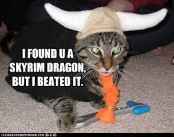 Skyrim Skyrim Cat Cute Cat Memes Funny Cat Memes
