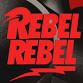 REBEL REBEL - David Bowie Tribute Show event image