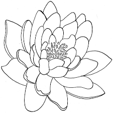 Lotus Flower Tattoo Designs Tattoos Meanings As Popular As The Rose Is In The West So Is The Lot Lotus Flower Drawing Flower Drawing Flower Line Drawings