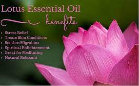 Pin On Essential Oils