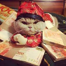 Instagram Photo Follow Us Redbarninc Pet Holiday Cat Holidays Chinese New Year