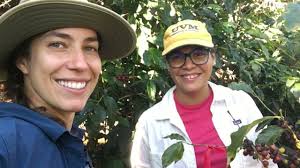 Coffee, Conservation, and Collaboration: FSRC PhD Fellow Natalia  Aristizábal Uribe