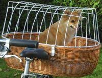 Aumuller Korbwaren Aumuller Hunde Fahrradkorb Xxl Fur Den Gepacktrager Aus Weide Tierzubehor Radsport Preuss
