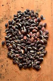 Image result for Lablab purpureus