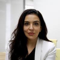 Analyzing Brazil-US Cooperation in Energy Transition