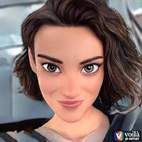 An Inconvenient Wife by Karen E. Olson