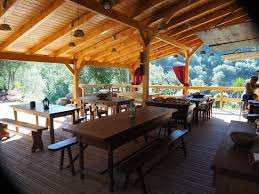 Image result for Usteria