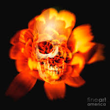 Get it as soon as wed, jun 23. Flower Skull Photograph By Jorgo Photography