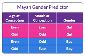 Mayan Calendar Calculator Pregnancy