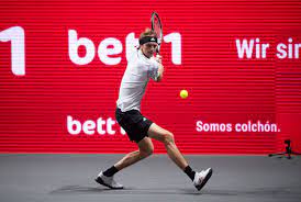 pin on alexander zverev