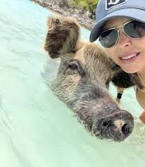 Memory pop up from a year ago... I want to go back!!! Piggies everywhere  🐷🐷🐷🐷🐷