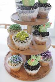 Kaktus Muffins Succulent Cupcakes Shower Cakes Succulent Cake