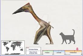 Image result for Stolzia williamsonii