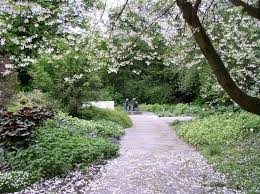 Karl forster garten in potsdam bornim pflanzart garten. Karl Foerster Stiftung Potsdam Freundschaftsinsel Stauden Staudengarten Staudenverwendung Staudensortiment Staudensichtung Staudenzuchtung Staudenproduktion Staudenvegetation Pflanzenverwendung Graser Graseverwendung Graserzuchtung