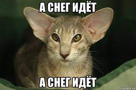 Все мемы Я вас слушаю - Рисовач .Ру